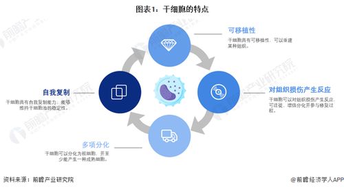 干細(xì)胞技術(shù)前沿預(yù)測(cè) 裴鋼院士強(qiáng)調(diào)生物醫(yī)藥產(chǎn)品開(kāi)發(fā)需融合網(wǎng)絡(luò)技術(shù)的三大核心要素